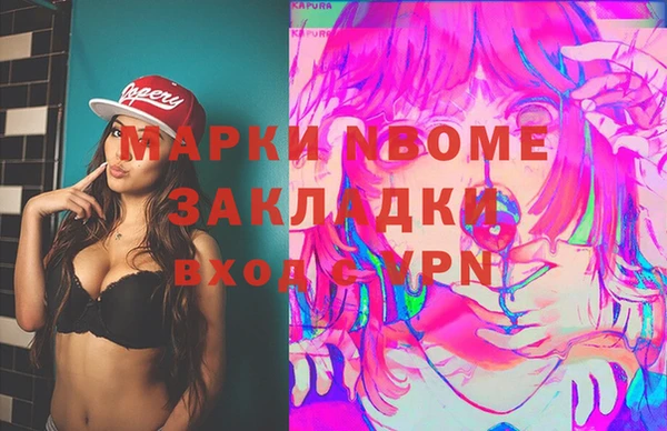 индика Ижевск