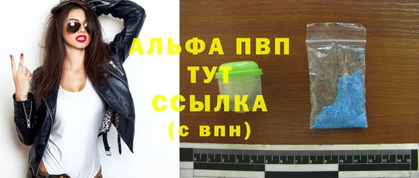 сатива Тольятти