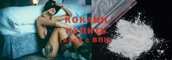индика Ижевск