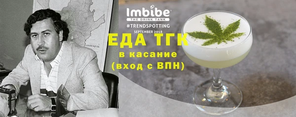 индика Ижевск