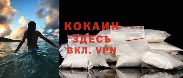 сатива Тольятти
