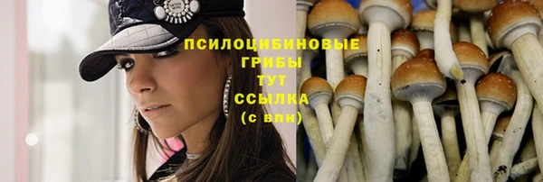 индика Ижевск