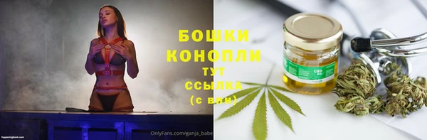 сатива Тольятти