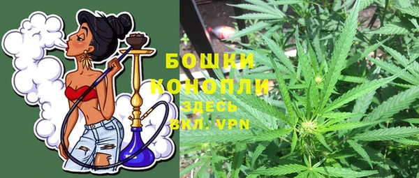 сатива Тольятти