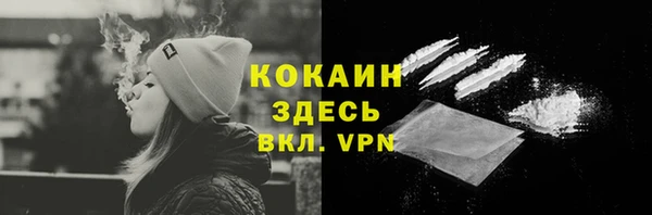 индика Ижевск