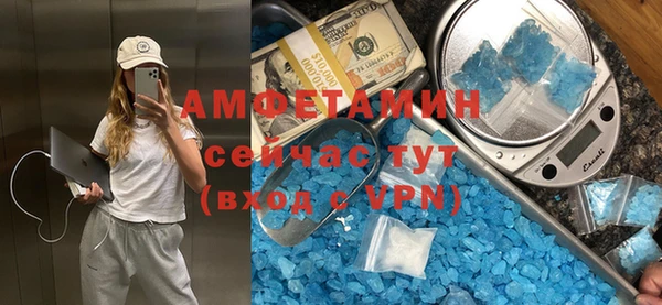 сатива Тольятти
