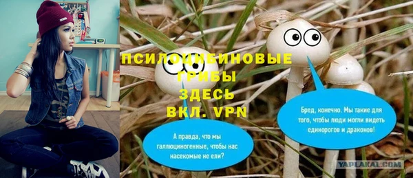 индика Ижевск
