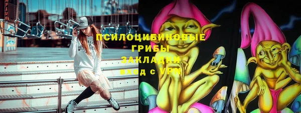сатива Тольятти