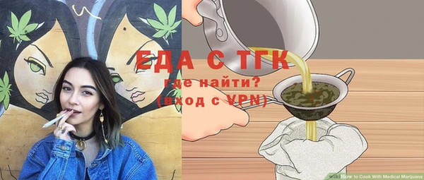 индика Ижевск