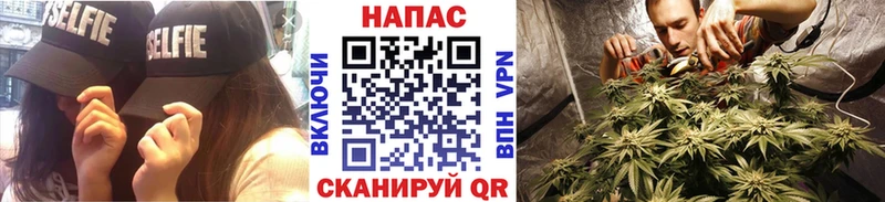 купить наркотики сайты  Звенигово  Шишки марихуана конопля 